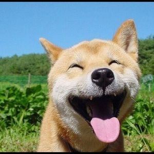 Meet your Posher, Yuehho